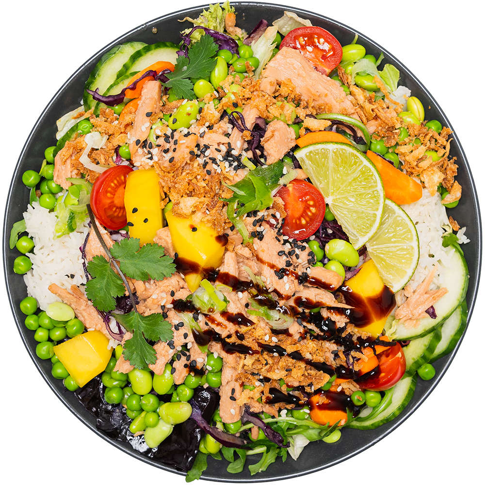 kaspar schmauser- vegan vegetarisch nürnberg erlangen fürth restaurant - tuna bowl